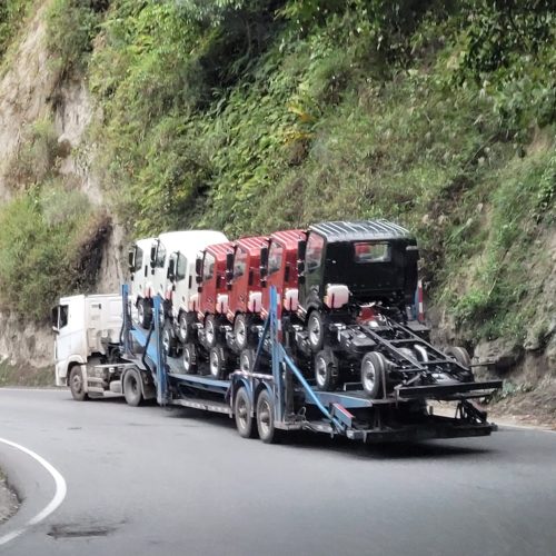 TRANSPORTE EN NIÑERA